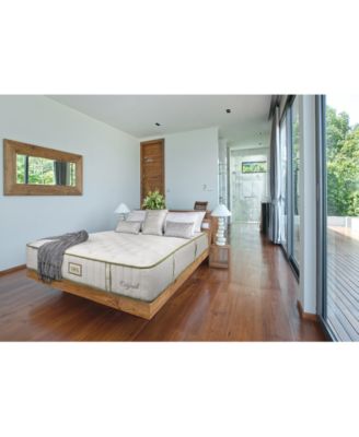 Paramount - Nature Spa Exhale 2.0 13" Plush Mattress Set-Twin XL