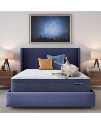 Serta - Dream Haven 12" Plush Pillow Top Mattress in a Box - Twin