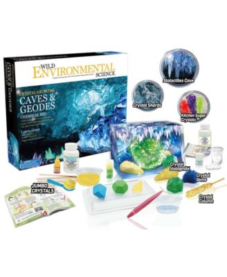 WILD ENVIRONMENTAL SCIENCE