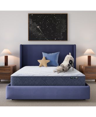 Serta - Dream Haven 10" Medium Tight Top Mattress in a Box - King