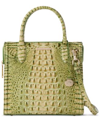 Brahmin