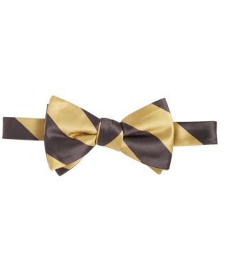 Tayion Collection - Men's Iota Phi Theta Stripe Bow Tie