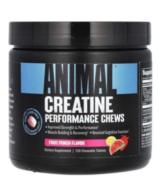 Animal