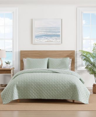 Tommy Bahama