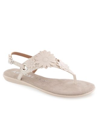 Aerosoles